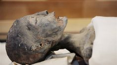 لعنة الفراعنة