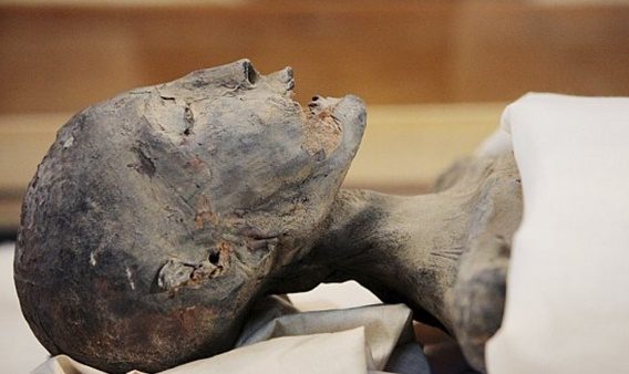 لعنة الفراعنة